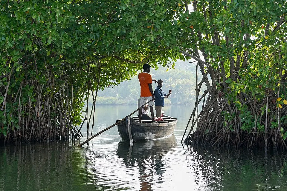 Mangrove_Arch_Boat_Ashtamudi_Kollam_Kerala_Mar22_A7C_01490